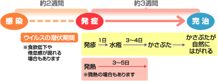 水ぼうそうの症状